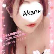 ヒメ日記 2026/03/03 17:22 投稿 あかね 熟女総本店