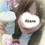 ヒメ日記 2026/03/04 14:32 投稿 あかね 熟女総本店