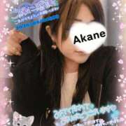 ヒメ日記 2026/03/06 13:32 投稿 あかね 熟女総本店