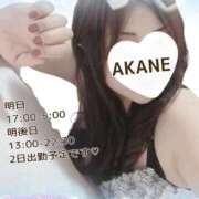 ヒメ日記 2026/03/16 21:43 投稿 あかね 熟女総本店