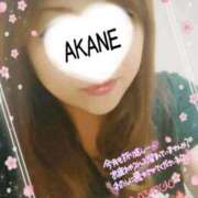 ヒメ日記 2026/03/18 17:59 投稿 あかね 熟女総本店