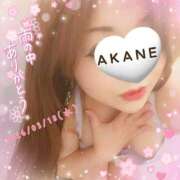 ヒメ日記 2026/03/18 23:52 投稿 あかね 熟女総本店