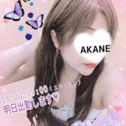 ヒメ日記 2026/03/20 23:12 投稿 あかね 熟女総本店