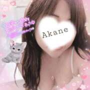 ヒメ日記 2026/03/22 09:32 投稿 あかね 熟女総本店