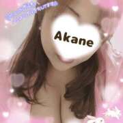 ヒメ日記 2026/04/03 09:12 投稿 あかね 熟女総本店