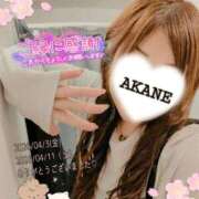 ヒメ日記 2026/04/06 19:12 投稿 あかね 熟女総本店