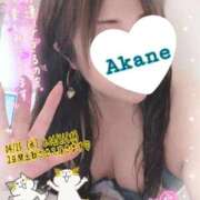 ヒメ日記 2026/04/13 21:12 投稿 あかね 熟女総本店