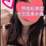 ヒメ日記 2026/04/14 22:32 投稿 あかね 熟女総本店