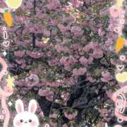 ヒメ日記 2026/04/14 22:52 投稿 あかね 熟女総本店