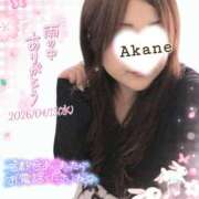 ヒメ日記 2026/04/16 14:42 投稿 あかね 熟女総本店