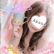 ヒメ日記 2026/04/16 18:02 投稿 あかね 熟女総本店