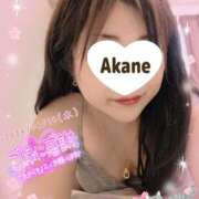 ヒメ日記 2026/04/17 16:42 投稿 あかね 熟女総本店