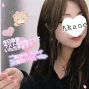 ヒメ日記 2026/04/20 17:22 投稿 あかね 熟女総本店