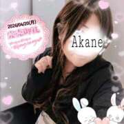 ヒメ日記 2026/04/21 17:02 投稿 あかね 熟女総本店