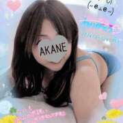 ヒメ日記 2026/05/26 12:02 投稿 あかね 熟女総本店