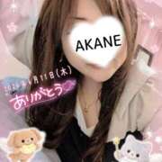 ヒメ日記 2026/06/12 20:31 投稿 あかね 熟女総本店