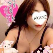ヒメ日記 2026/06/14 23:42 投稿 あかね 熟女総本店