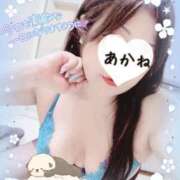 ヒメ日記 2026/06/25 09:02 投稿 あかね 熟女総本店