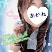 ヒメ日記 2026/08/15 16:58 投稿 あかね 熟女総本店