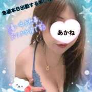 ヒメ日記 2026/08/24 07:18 投稿 あかね 熟女総本店