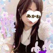 ヒメ日記 2026/08/29 20:05 投稿 あかね 熟女総本店
