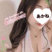 ヒメ日記 2026/09/03 16:58 投稿 あかね 熟女総本店