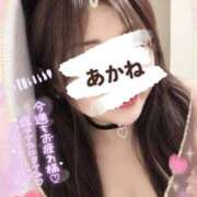ヒメ日記 2026/09/13 08:58 投稿 あかね 熟女総本店