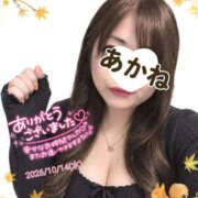 あかね 2026/10/14(水)のありがとう‎🩷🤗 熟女総本店