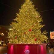 ヒメ日記 2025/11/13 13:13 投稿 りさ 五反田人妻ヒットパレード（シンデレラグループ）