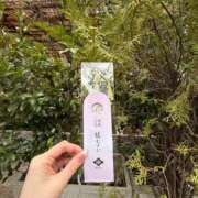 ヒメ日記 2026/02/22 04:46 投稿 りさ 五反田人妻ヒットパレード（シンデレラグループ）