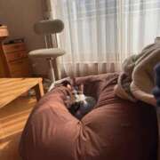 ヒメ日記 2026/03/03 04:43 投稿 りさ 五反田人妻ヒットパレード（シンデレラグループ）