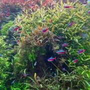 ヒメ日記 2026/03/04 04:38 投稿 りさ 五反田人妻ヒットパレード（シンデレラグループ）