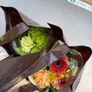 ヒメ日記 2026/03/17 08:36 投稿 りさ 五反田人妻ヒットパレード（シンデレラグループ）