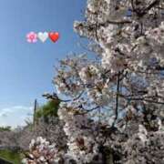 りさ 今週もお疲れ様でした??? 五反田人妻ヒットパレード（シンデレラグループ）