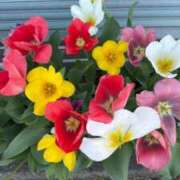 ヒメ日記 2026/04/17 23:19 投稿 りさ 五反田人妻ヒットパレード（シンデレラグループ）