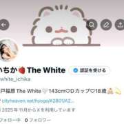 ヒメ日記 2025/11/12 17:09 投稿 いちか The White