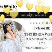 ヒメ日記 2025/12/12 15:01 投稿 いちか The White