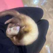 ヒメ日記 2025/11/21 16:00 投稿 おと ハイ・チュッ