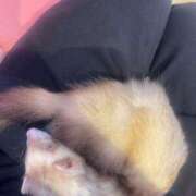 おと 💓 ハイ・チュッ