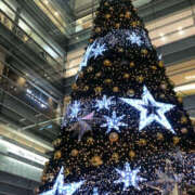 ヒメ日記 2025/12/08 18:45 投稿 めいな 奥鉄オクテツ東京店（デリヘル市場）