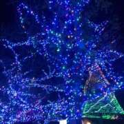 ヒメ日記 2025/12/27 21:37 投稿 めいな 奥鉄オクテツ東京店（デリヘル市場）