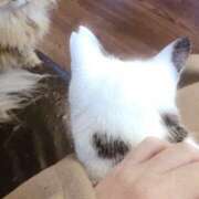 ヒメ日記 2026/01/04 09:12 投稿 めいな 奥鉄オクテツ東京店（デリヘル市場）