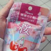 ヒメ日記 2026/02/14 14:32 投稿 めいな 奥鉄オクテツ東京店（デリヘル市場）