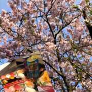 ヒメ日記 2026/03/29 19:46 投稿 めいな 奥鉄オクテツ東京店（デリヘル市場）