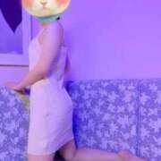 ヒメ日記 2025/11/06 15:26 投稿 れみか ジュリアングループ八王子店