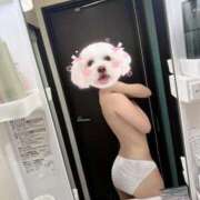 ヒメ日記 2025/11/07 16:21 投稿 れみか ジュリアングループ八王子店