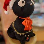 ヒメ日記 2025/12/14 20:08 投稿 なぎさ 豊満熟女