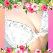 ヒメ日記 2026/01/14 01:19 投稿 ありさ 完熟ばなな 谷九店