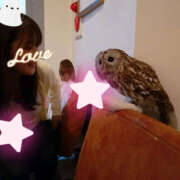 ヒメ日記 2025/12/11 21:39 投稿 しいな エロティックマッサージ 錦糸町