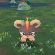 ヒメ日記 2026/02/19 10:46 投稿 あず 西川口ビデオdeはんど